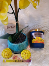 Load image into Gallery viewer, Caribbean Escape