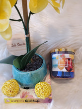 Load image into Gallery viewer, Jamaica Me Crazy