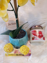 Load image into Gallery viewer, Strawberry Champagne