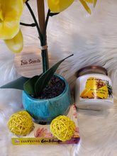 Load image into Gallery viewer, Pineapple Sage