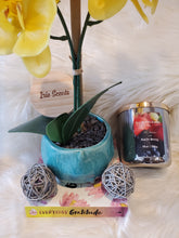 Load image into Gallery viewer, Apple Berry